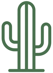 CACTUS BROADCAST